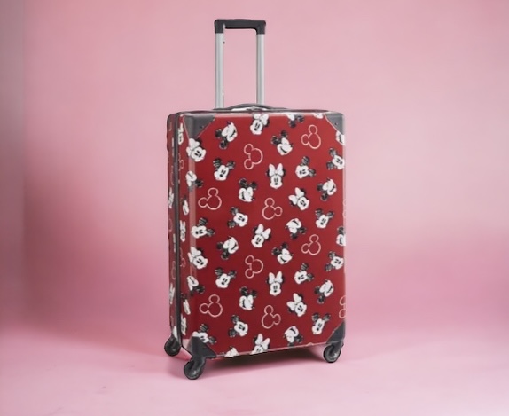 Disney Suitcase Guide